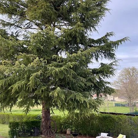 Les Cocons D Alexan Le Balnéo Aromathérapie Appartamento