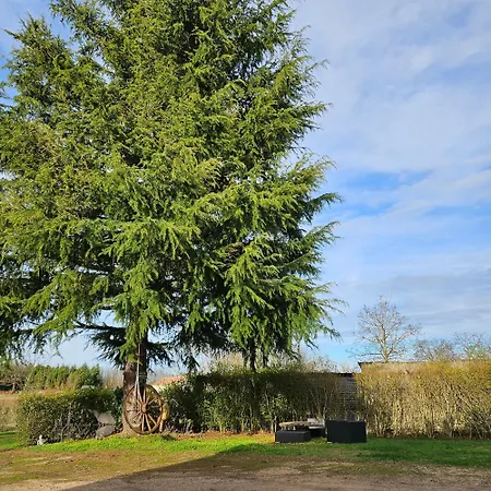 Les Cocons D Alexan Le Balneo Aromatherapie *