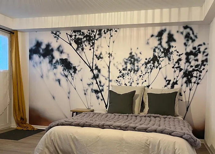 Les Cocons D Alexan Le Balneo Aromatherapie Quinssaines