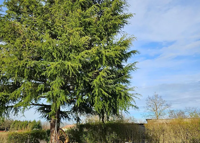 Les Cocons D Alexan Le Balneo Aromatherapie *